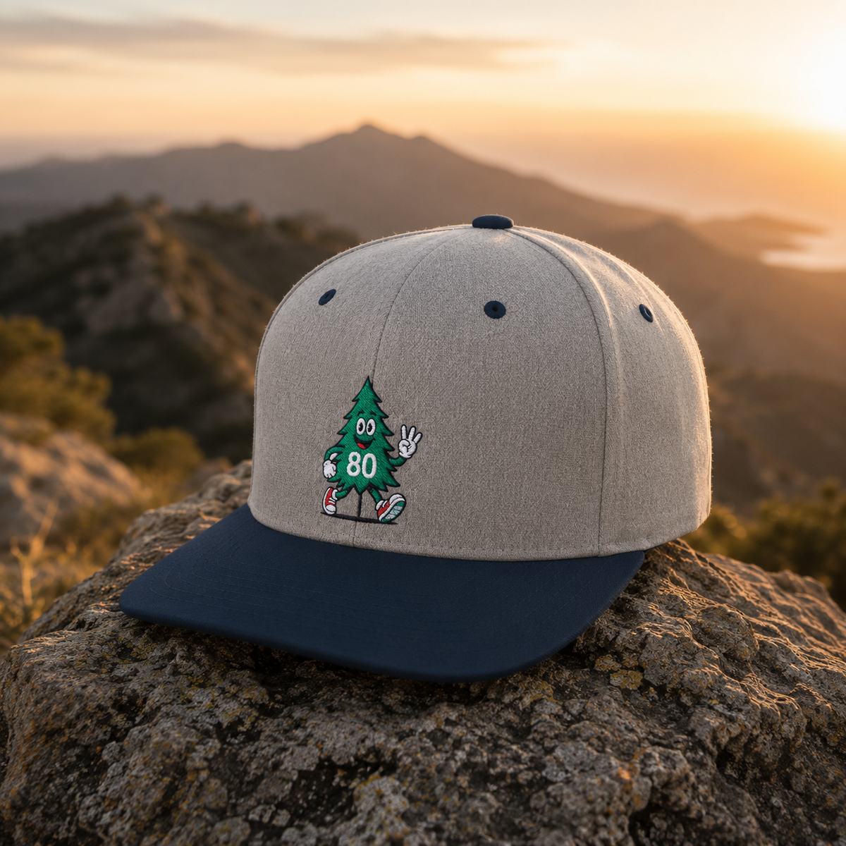 80 Tree Embroidered Snapback Hat — Heather Grey/Navy